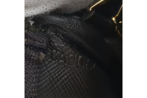 25年04月01日：画像７