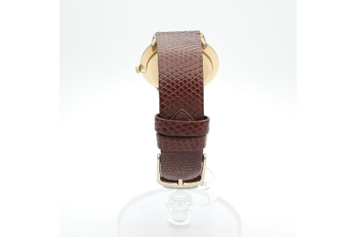 シチズン(CITIZEN)のハイライン