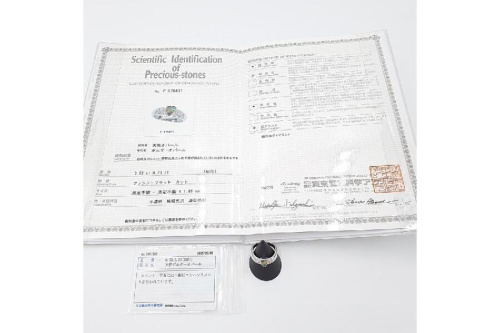 25年06月18日：画像１０