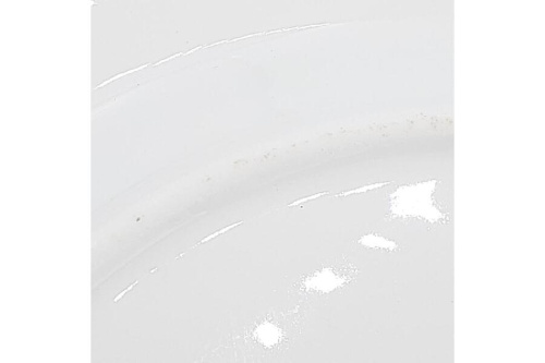 25年07月24日:画像7