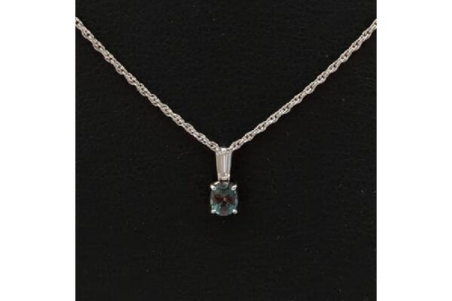 ジュエリーのネックレス