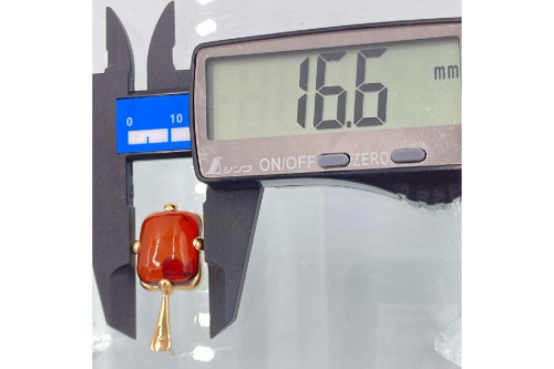 25年10月08日:画像8