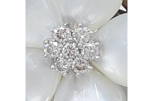 ピックアップブログ画像5