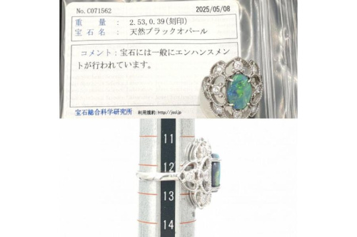 25年10月12日：画像７