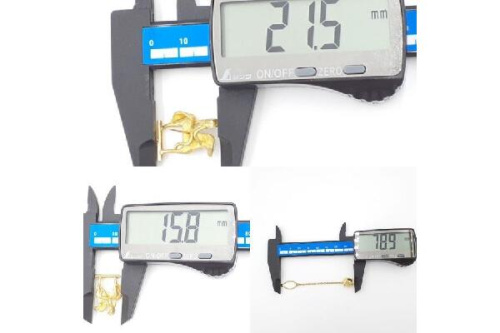 25年11月19日：画像７