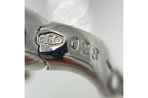 ピックアップブログ画像５