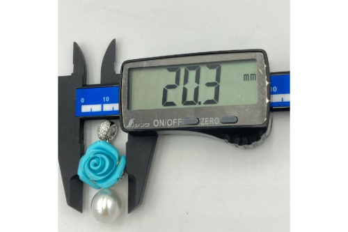 25年11月27日：画像６