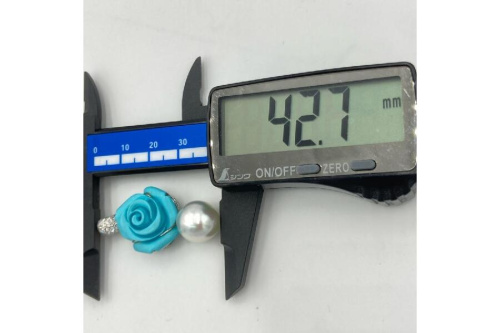 25年11月27日：画像７