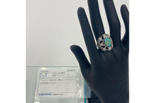 26年02月25日：画像７