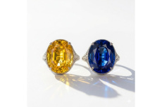 ピックアップ藤枝インター店ブログ