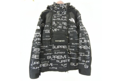 アウターのザ・ノース・フェイス(The North Face)