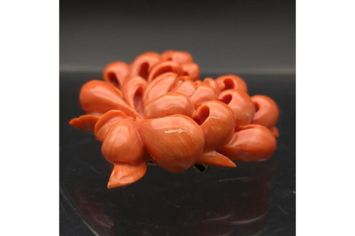 ブローチの珊瑚（Coral）