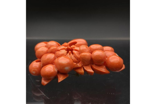 珊瑚（Coral）の帯留