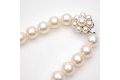 ネックレスのTASAKI(タサキ)