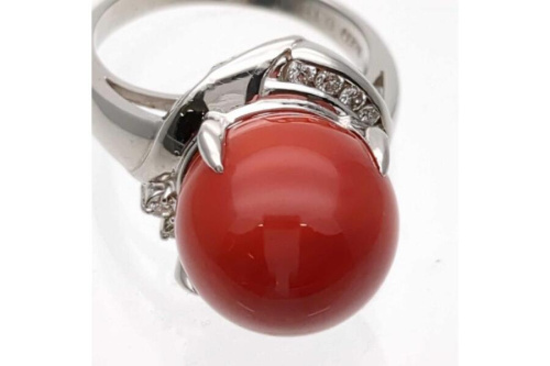 サンゴの天然珊瑚