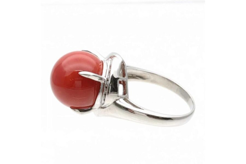 天然珊瑚のcoral