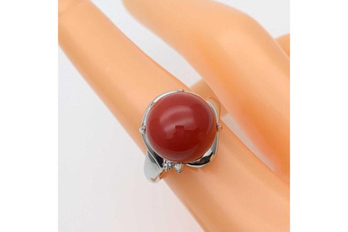 25年04月20日：画像７