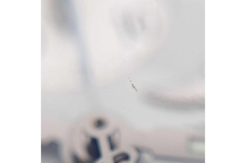 25年04月23日：画像７