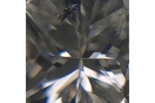 25年04月25日：画像７