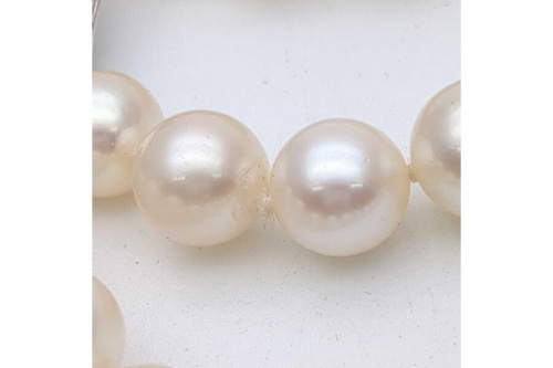 真珠のサファイア