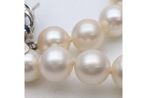 25年05月14日：画像６