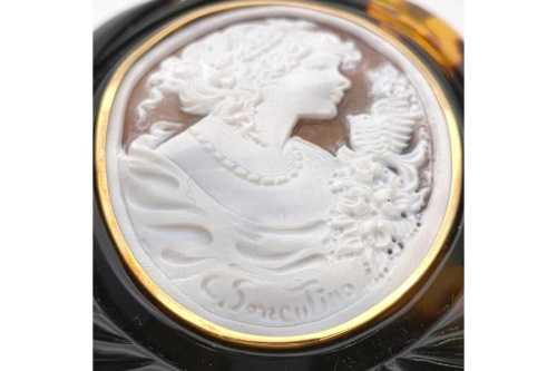 25年06月12日:画像6