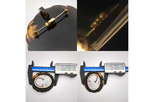 25年06月12日:画像9