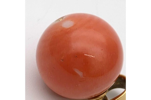 珊瑚のコーラル