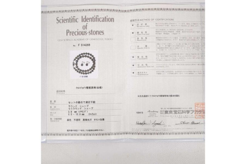 25年08月16日：画像１０