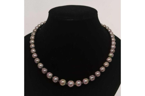 パールの黒蝶真珠