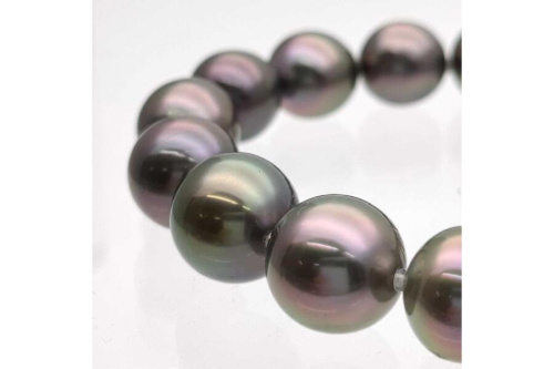 黒蝶真珠のパールネックレス