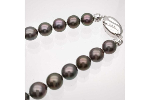 25年08月16日：画像６