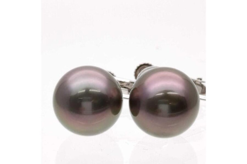 25年08月16日：画像７