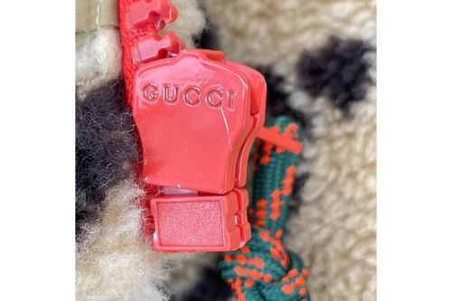 25年10月28日：画像８