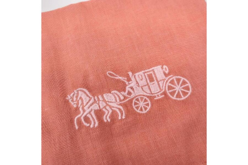 コーチ（COACH）のホースキャリッジ