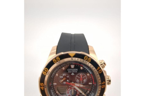 シチズン(CITIZEN)のプロマスター(PROMASTER)