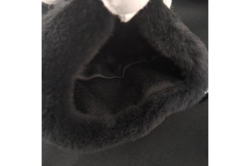 25年01月22日:画像7