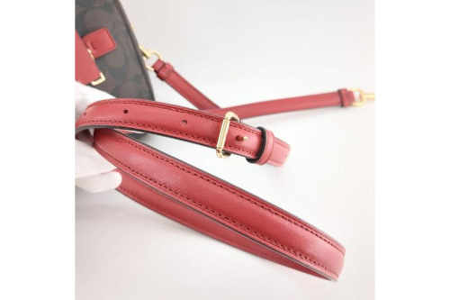 25年03月10日:画像6