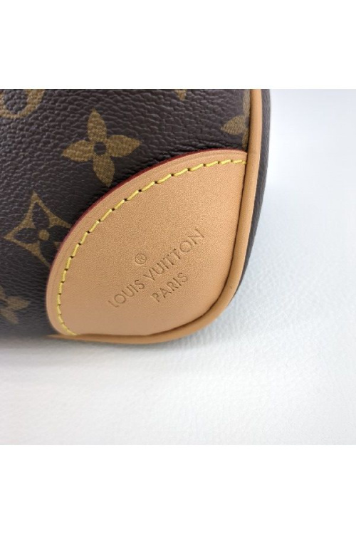 ショルダーバッグのルイ・ ヴィトン（LOUIS VUITTON）