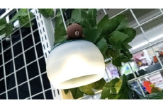 ピックアップ静岡登呂バザール店ブログ