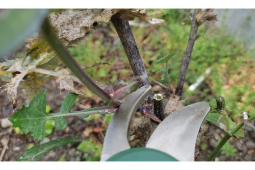 22年03月18日：画像６