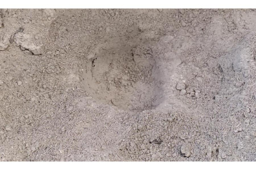 22年03月19日:画像7