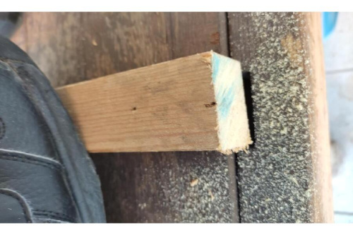 22年04月13日：画像８