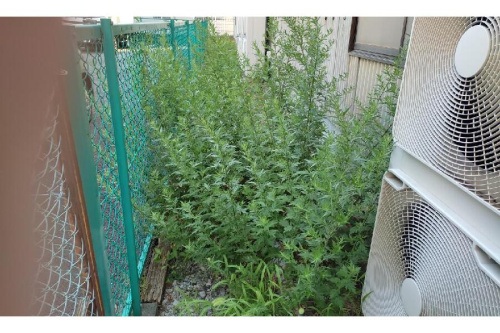 22年07月04日：画像６