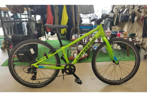自転車のマウンテンバイク
