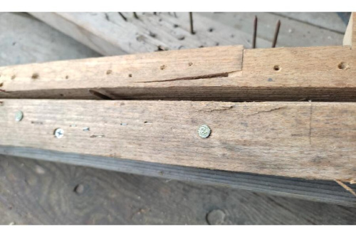 23年11月10日：画像９