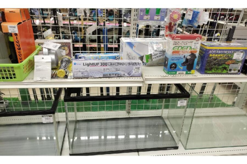 24年03月10日：画像６