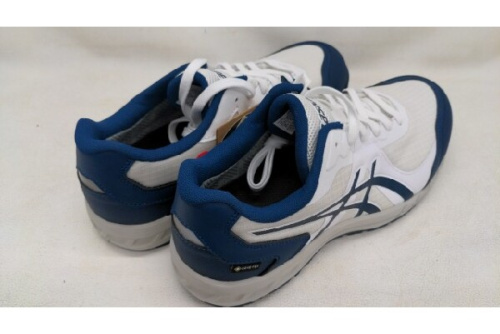 プロスニーカーのアシックス（asics）