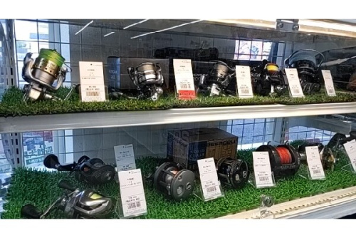 24年10月11日：画像７