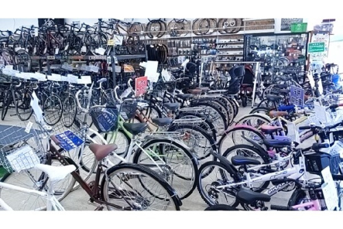 24年10月23日：画像６